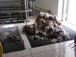 Čiščenje ČN Medica 2